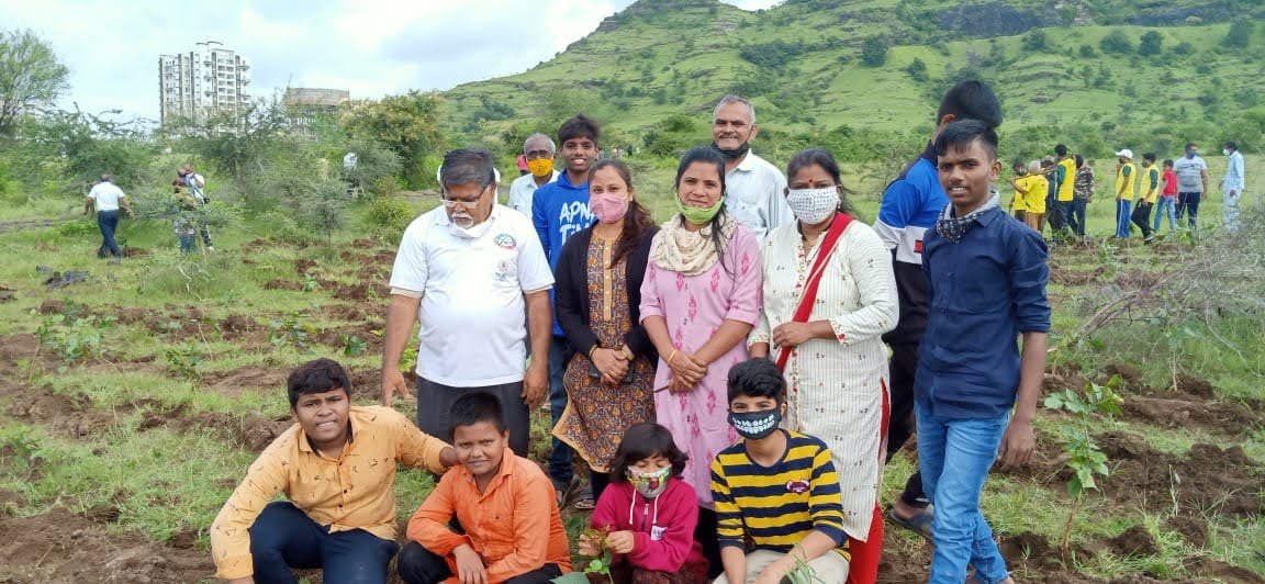 Plantation Work